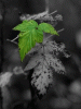 anim240320mobildesign.atw.hu_0271.gif